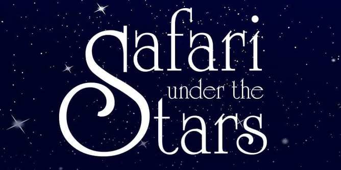 Safari under the Stars
