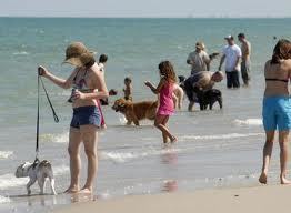 Canova Beach Park Weather