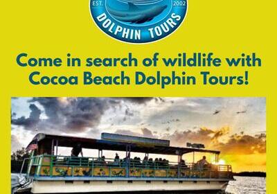Come in search of wildlife with Cocoa Beach Dolphin Tours!