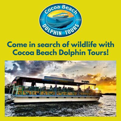 Come in search of wildlife with Cocoa Beach Dolphin Tours!