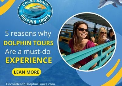 The Top 5 Reasons Why Dolphin Tours are a Must-Do Experience.