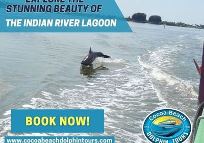 Explore the Indian River Lagoon with Cocoa Beach Dolphin Tours.