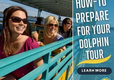 Five Ways to Prepare for Your Next Tour with Cocoa Beach Dolphin Tours.