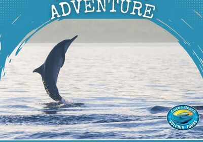 Embark on an Eco-Adventure with Cocoa Beach Dolphin Tours!